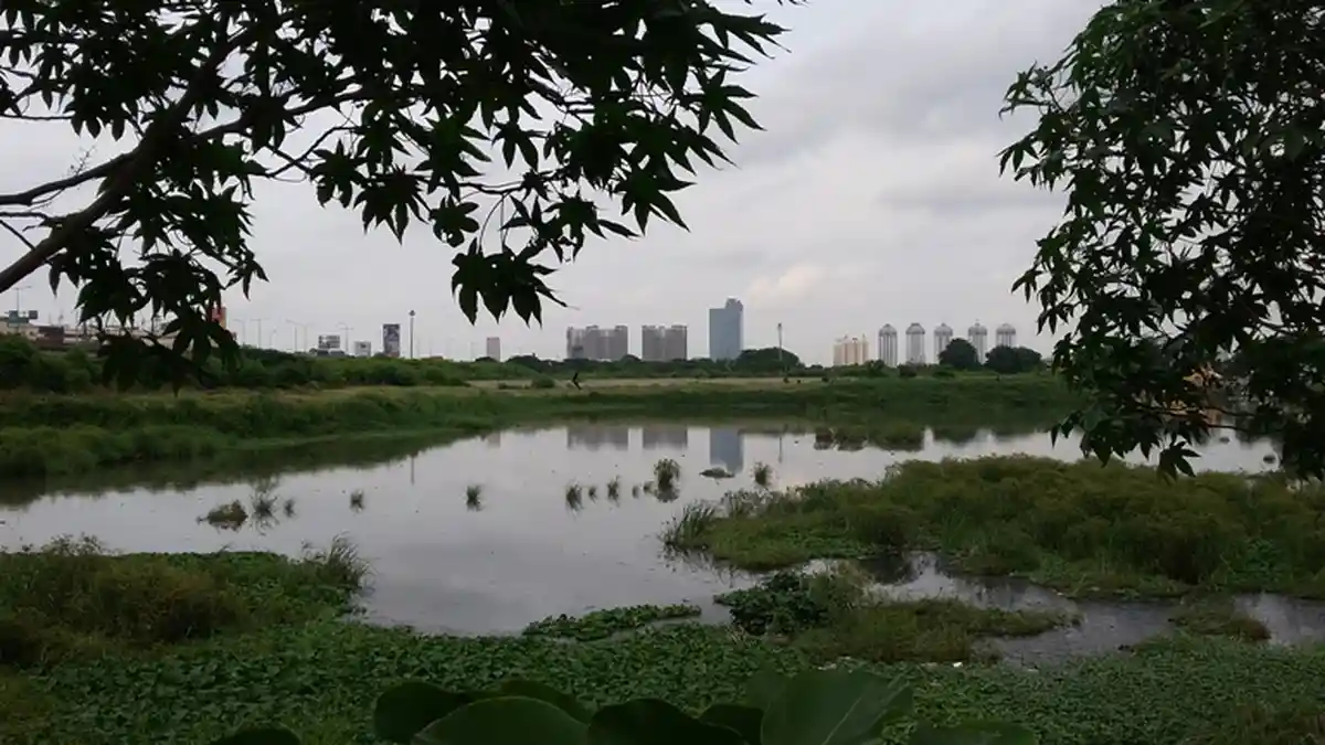 Ketinggian Waduk Ria Rio Masih Aman - Wartakotalive.com