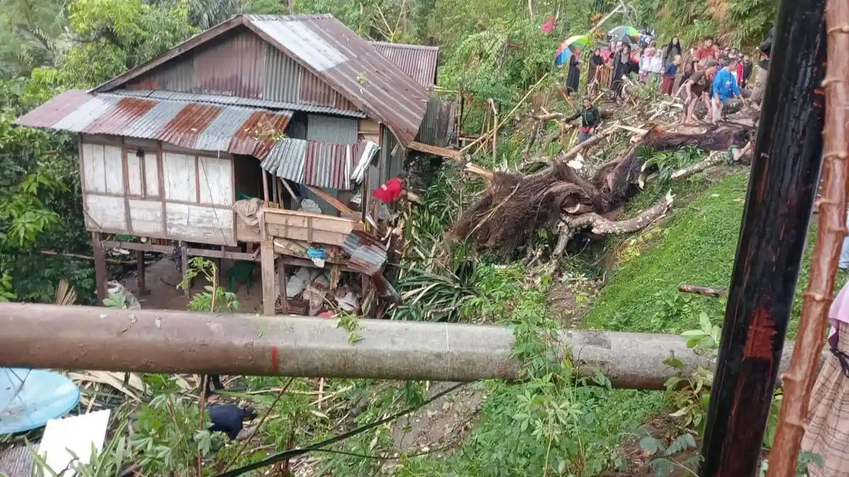 Cuaca Buruk Landa Sinjai, 4 Tiang Listrik Roboh-Pohon Tumbang Timpa Pemotor dan Rumah Warga
