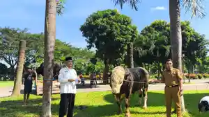 Takmir-Masjid-Agung-An-Nuur-Pare-Dafid-Fuadi-saat-terima-bantuan-sapi-Selasa-2652026.jpg
