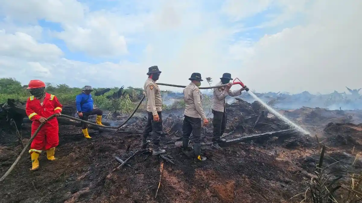 Update Kasus Karhutla di Lahan Koperasi RTBS Pelalawan, Penyidik Tipidter Periksa Sejumlah Saksi