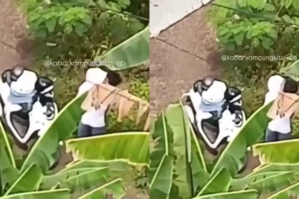 Terciduk! Sejoli Bercumbu Siang Bolong di Bawah Pohon Pisang Pasir Putih Jambi 