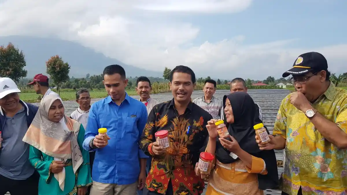 Program Kementan, Petani Raup Rejeki dari Bawang Merah, Cabai, Kentang dan Sayuran