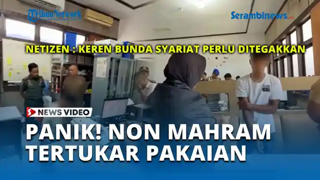 Tribun