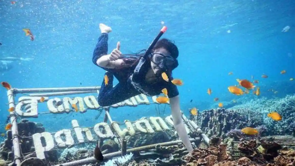 Pengunjung Pulau Pahawang Pesawaran Tembus 5.395 Orang Saat Libur Idul Adha