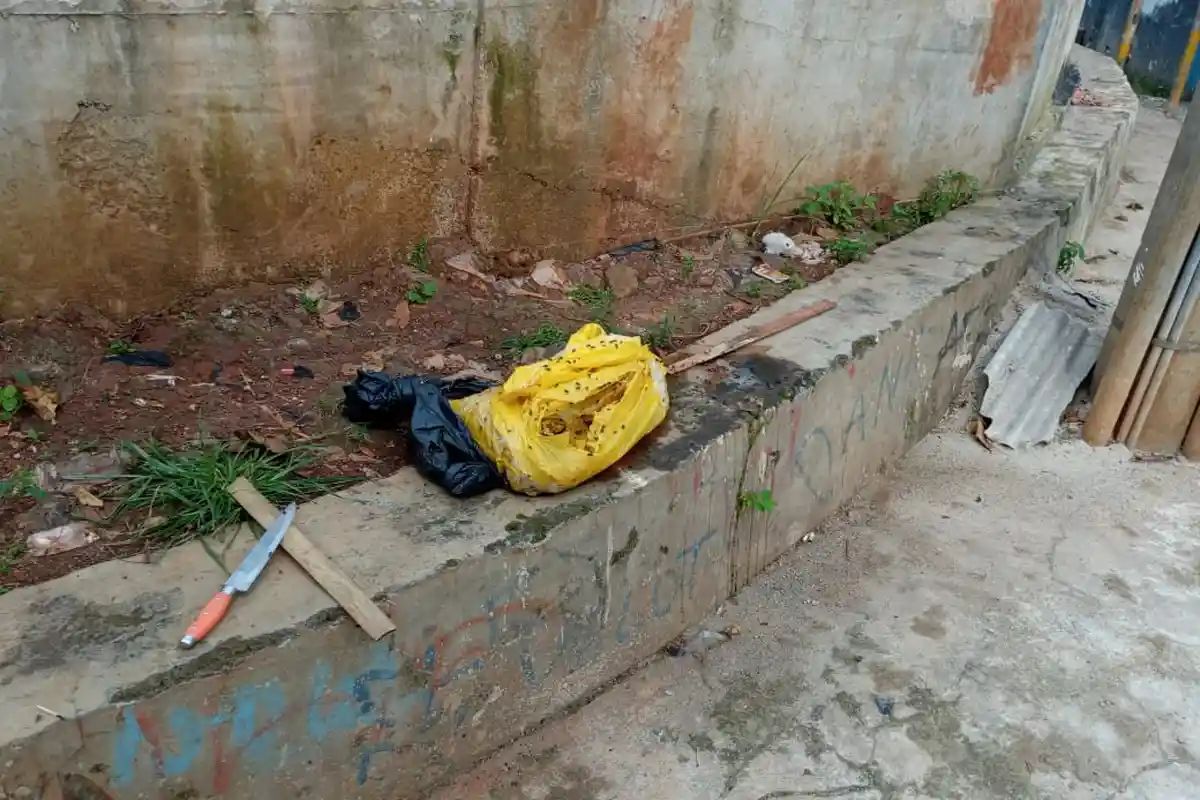 Sempat Hebohkan Warga, Misteri Temuan Potongan Kaki Terbungkus Plastik di Tangsel Akhirnya Terjawab