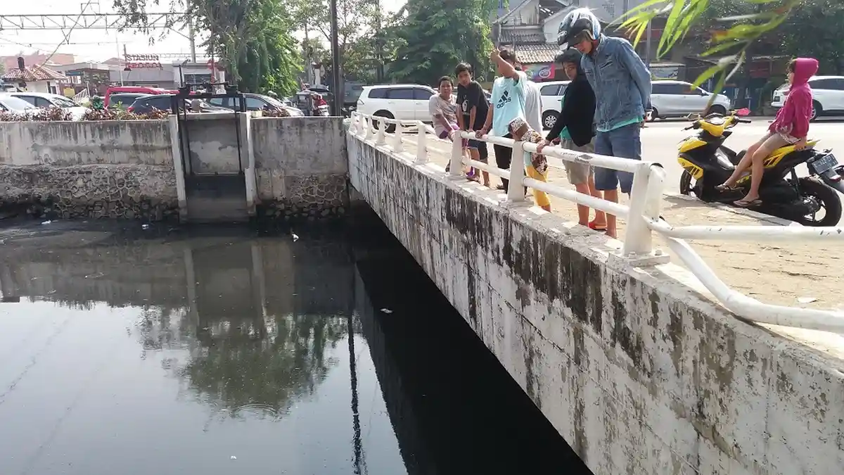 Penasaran Lihat Buaya, Warga Masih Datangi Kali Grogol