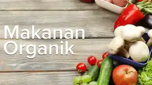 ilustrasi-makanan-organik.jpg