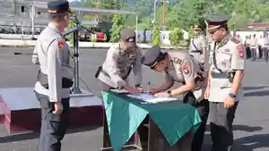 Pimpinsertijabkku-a.jpg