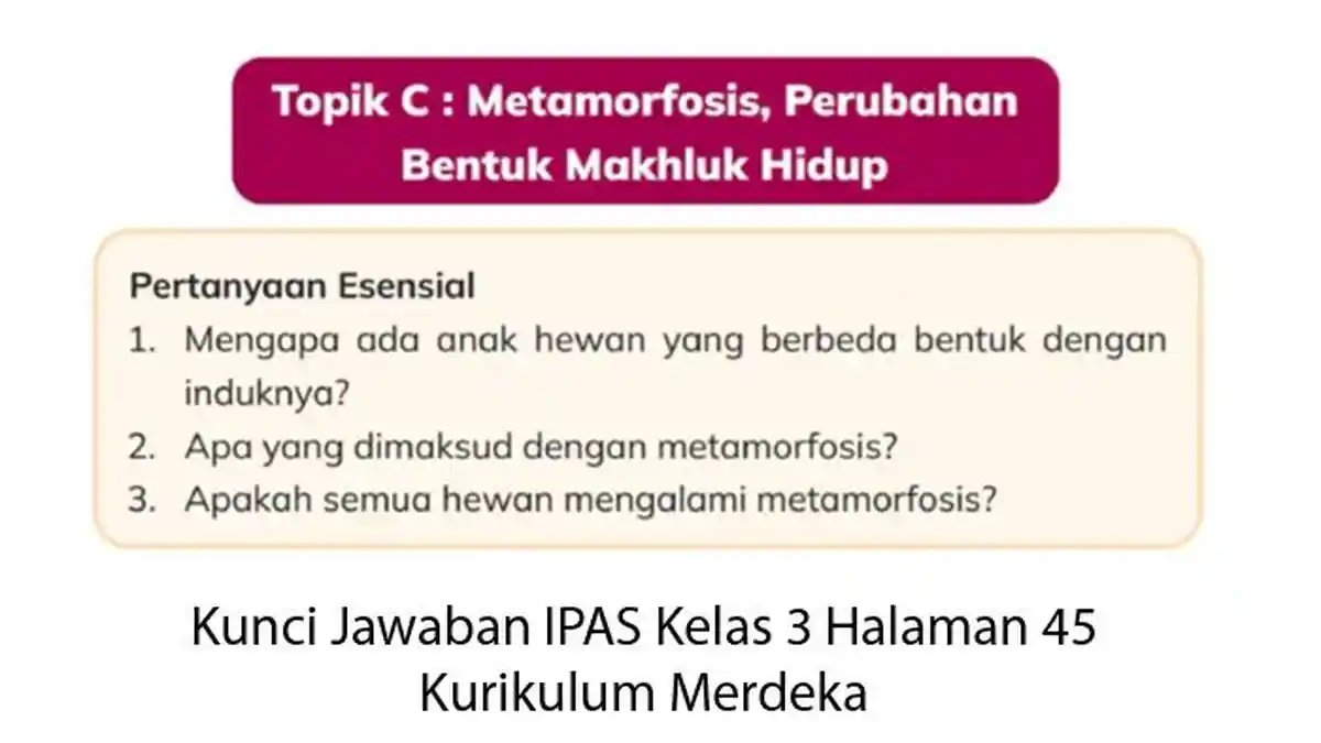 Kunci Jawaban IPAS Kelas 3 Halaman 45 Perubahan Bentuk Makhluk Hidup ...