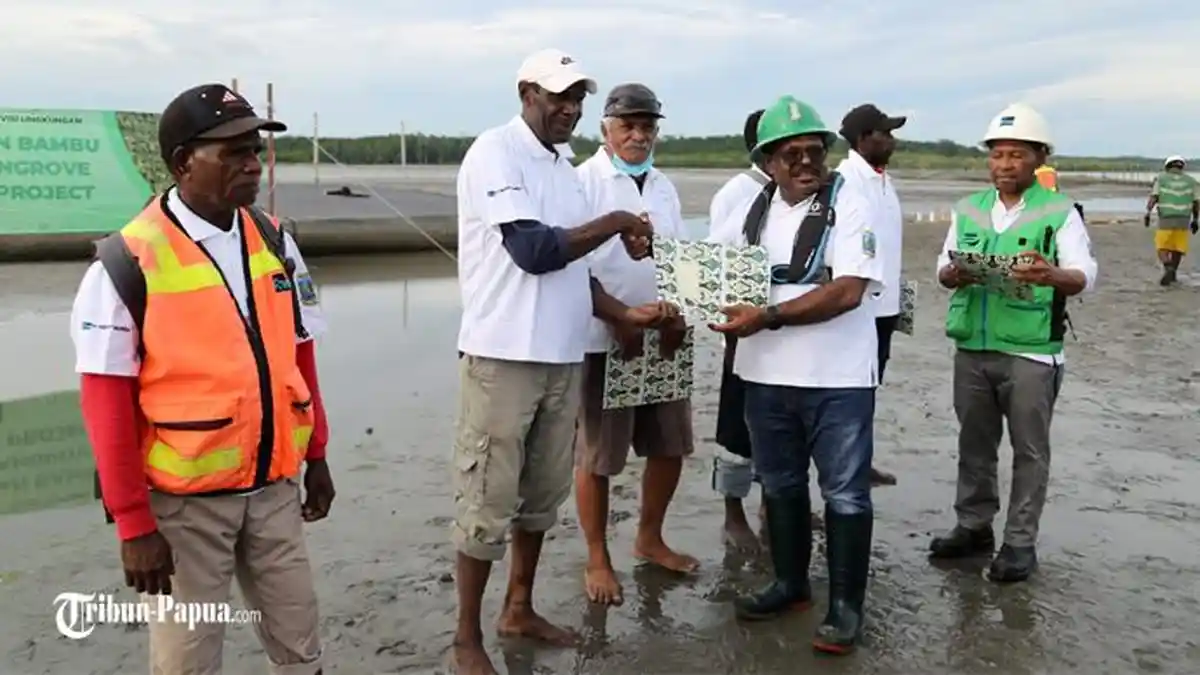 Tangani Limbah Tailing dan Pendangkalan, PTFI Gelar Estuary Structure Project di Muara Aikwa Mimika