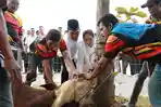 Panca-serahkan-kurbans70-Ekor.jpg