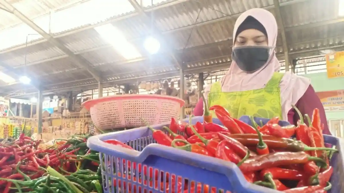 Harga Cabai di Kabupaten Semarang Makin Pedas, Rp 50 Ribu Perkilogram