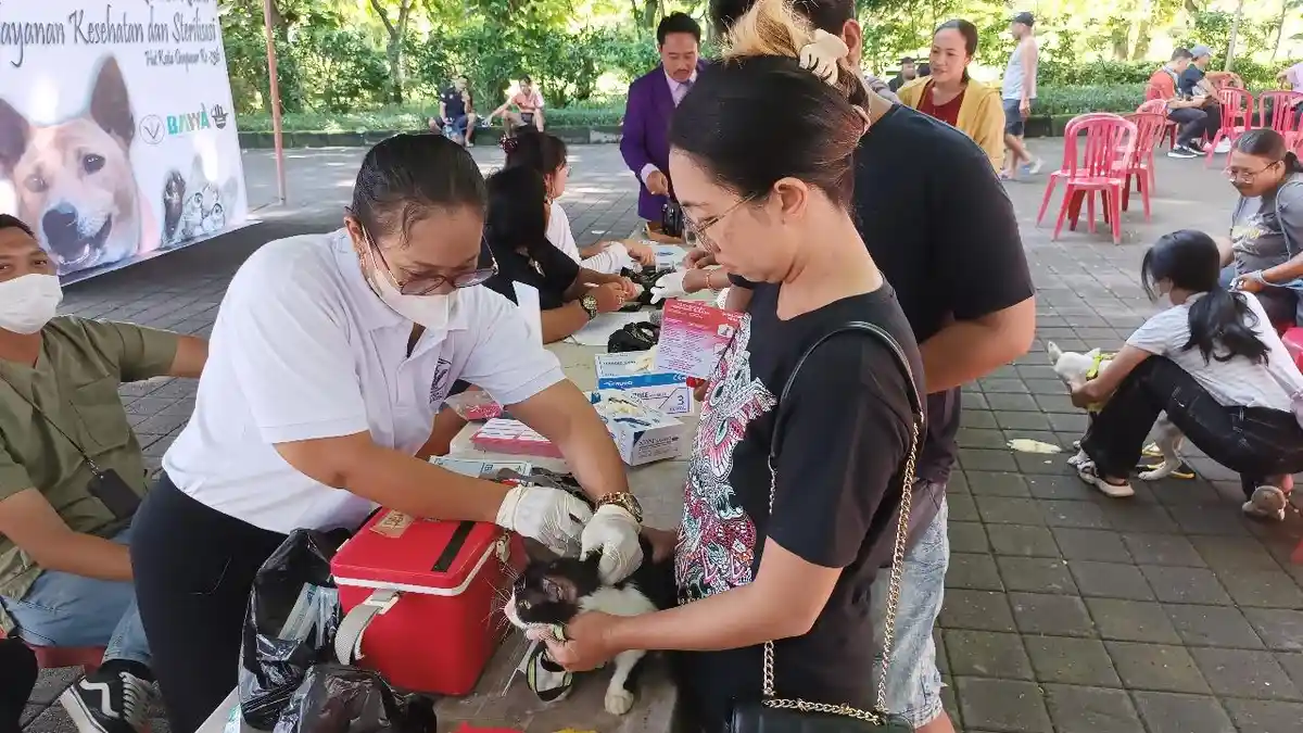 Capaian Vaksin Rabies Anjing dan Kucing 80 Persen, PDHI Bali Harap ...