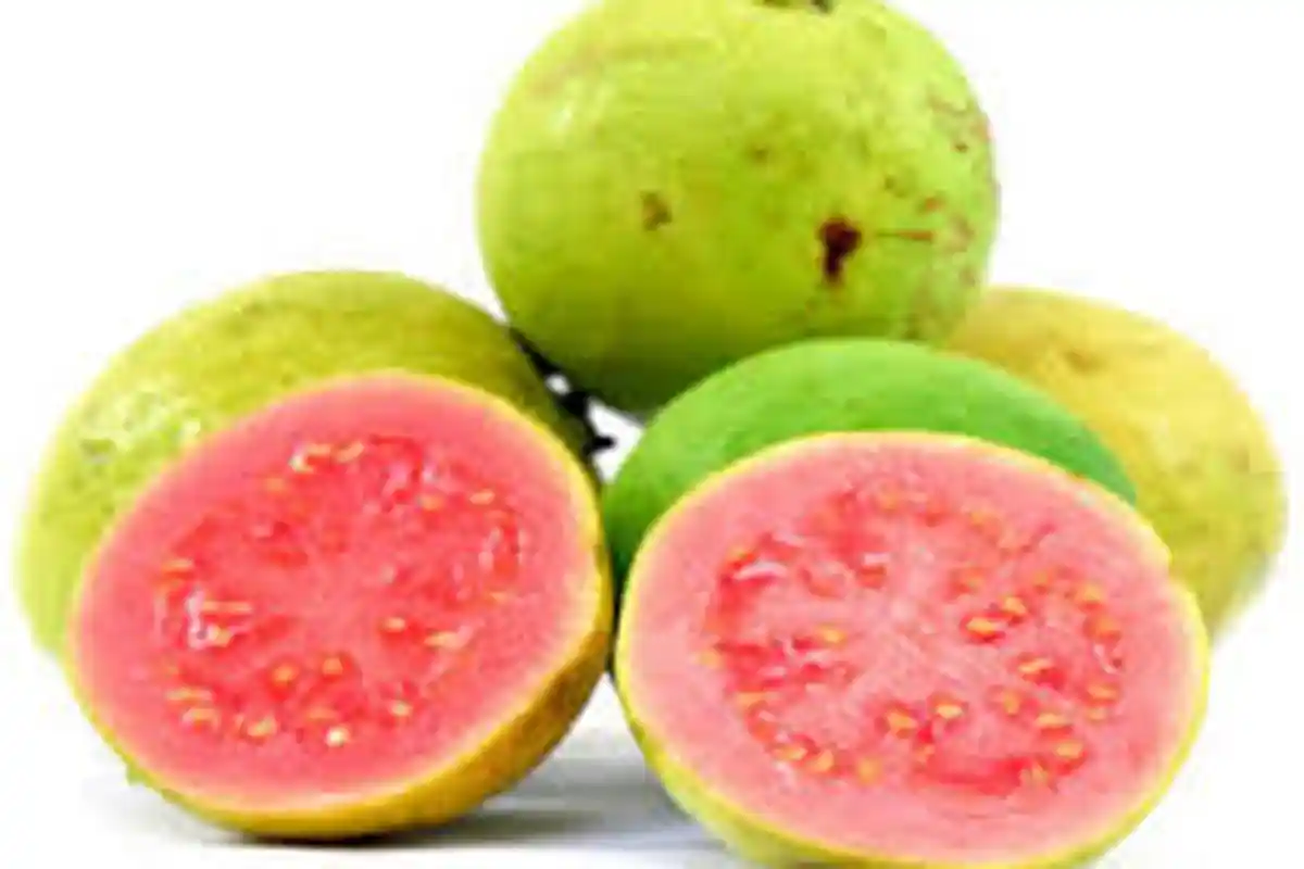 Ini Manfaat Jambu Biji Bagi Tubuh