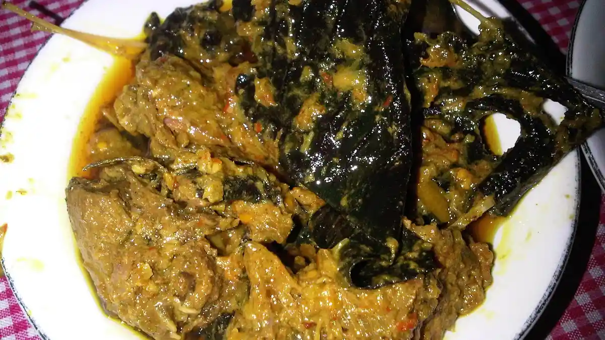 Wow! Presiden Jokowi Pesan Kuliner Ekstrim Daging Kelelawar saat di Manado