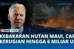 VIDEO Kebakaran Hutan di Maui Diperkirakan Capai Kerugian Hingga 6 Miliar Dolar AS