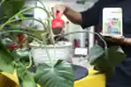 Program Ubah Sampah Makanan Kantor Jadi Kompos