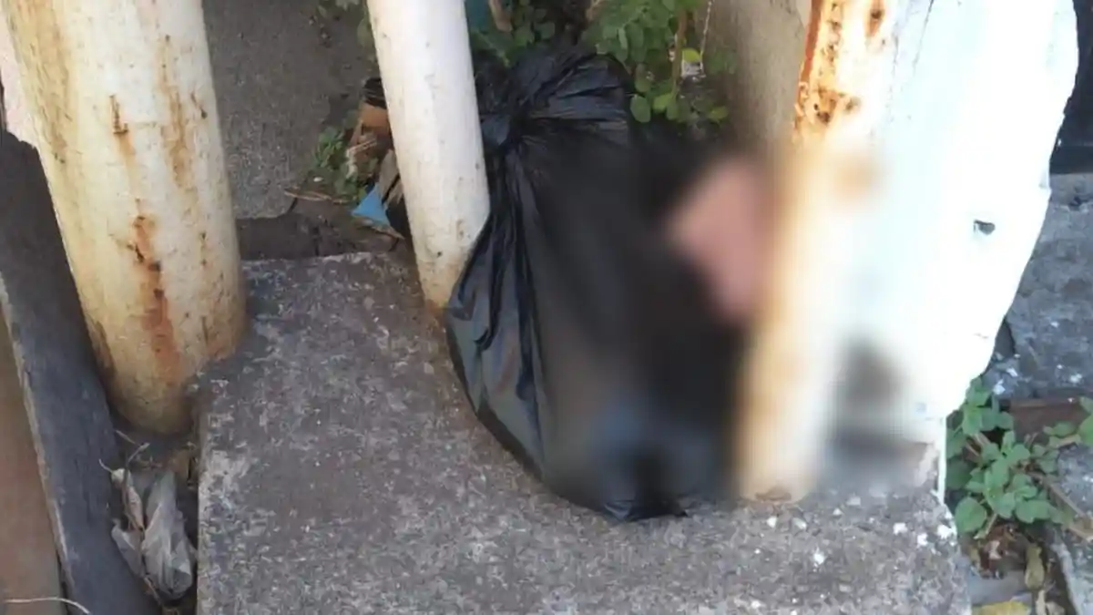 Sosok M, Wanita Magelang Buang Bayi di Semarang, Malu Hasil Hubungan Terlarang dengan Pacar Gelap