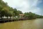 taman-hutan-mangrove-yang-berada-di-Desa-Karangreja.jpg