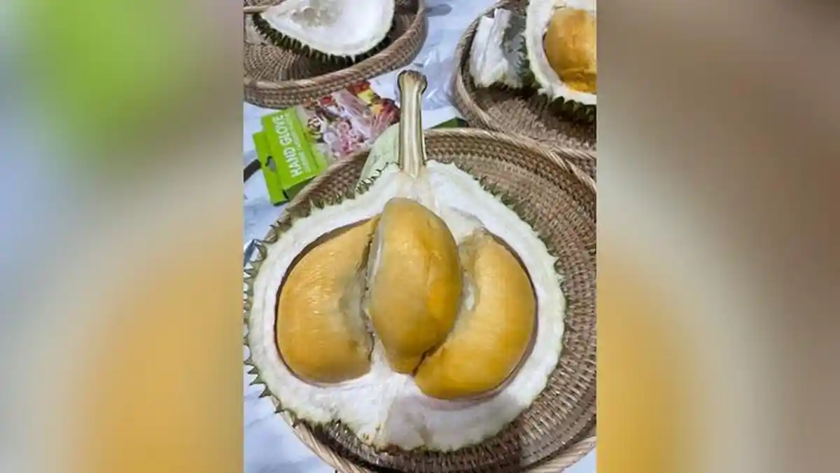 Durian Termahal Sekarang Bukan Lagi Musang King Tapi Durian Ini, Malaysia Harus Tahu!