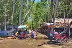 Pesona Mangrove Pantai Lopon: Primadona Wisata Halmahera Timur yang Membutuhkan Sentuhan Pembenahan