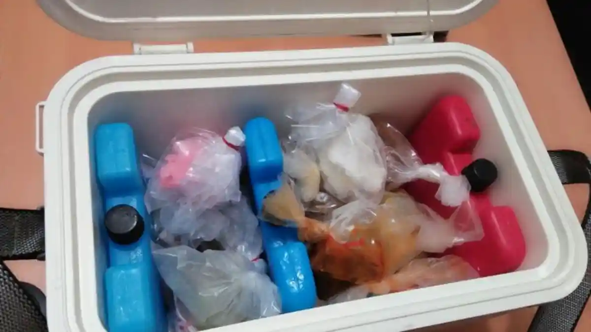 Sampel Makanan di Pesta Pernikahan dan Muntahan Korban Keracunan Massal Dikirim ke Laboratorium