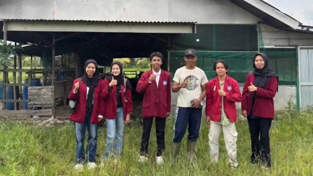 Kalung Pintar Deteksi Kesehatan Sapi, Inovasi 5 Mahasiswa UMB Bantu Peternak di Batola