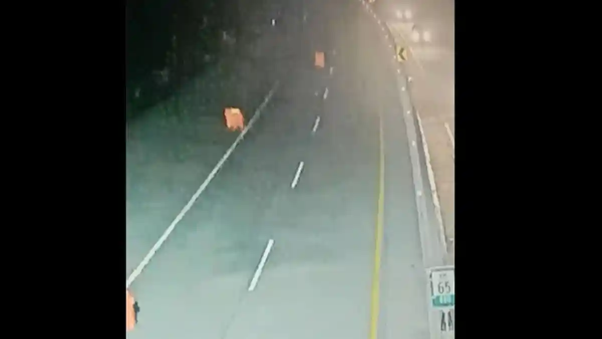 Viral Video Pembatas Jalan atau Barrier di Tol Pandaan-Malang Bergerak Sendiri, Ternyata Gegara Ini