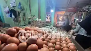 harga-telur-di-pasar-raya-padang-232026.jpg