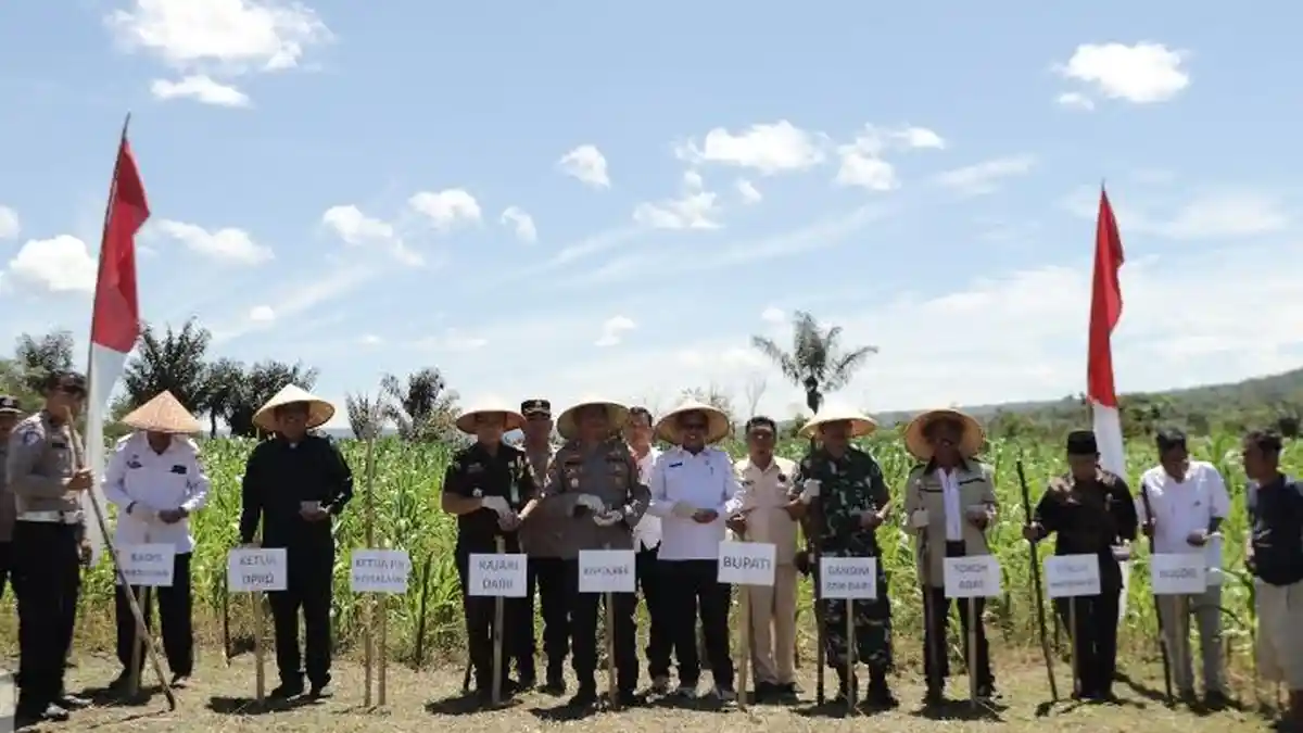GERAKAN Tanam Jagung Serentak di Pakpak Bharat: Komitmen Bersama Menuju Swasembada Pangan