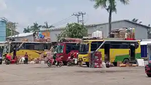 busbuslawas.jpg