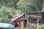Rumah-warga-di-Dusun-Salubiru-Desa-Takandeang-Kecamatan-Tapalang-tertimpa-pohon.jpg