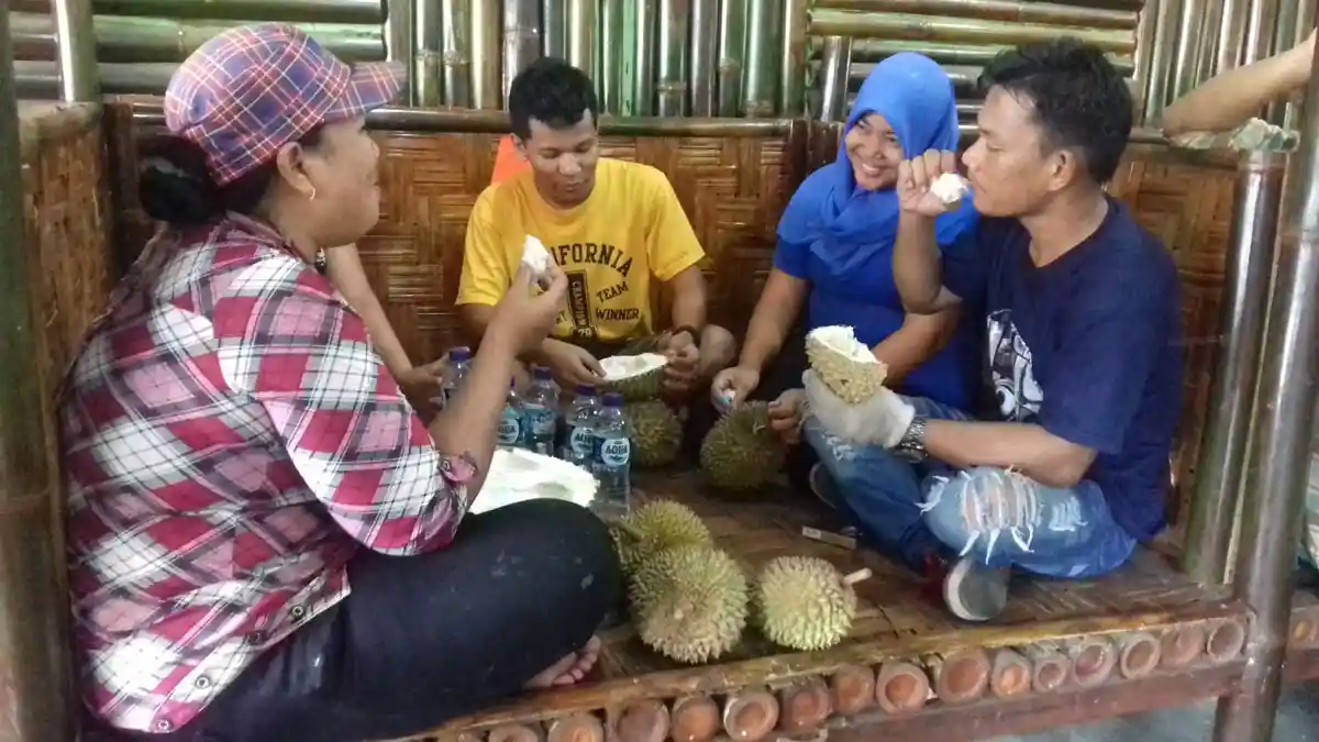 Belum Sebulan, Ladang Durian sudah Bikin Heboh, Bisa Jual 2.500 Buah Per Hari