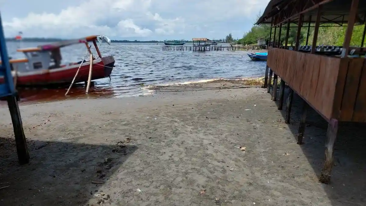 Air Danau Anak Laut Surut, Ikan Keramba Warga Aceh Singkil Mati karena Kekeringan