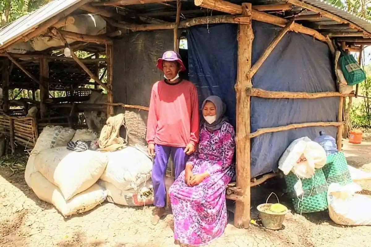Terlilit Utang, Satu Keluarga di Gunungkidul Terpaksa Tinggal di Kandang Sapi