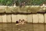 Anak-anak Nekat Berenang di Bantaran Sungai Ciliwung