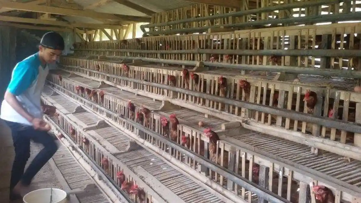 Jelang Libur Nataru, Harga Telur Ayam di Pasar Manis Ciamis Malah Turun, Harga Eceran Rp30 per Kilo