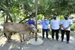 ptba-salurkan-bantuan-hewan-qurban.jpg