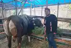 PENJUALAN-HEWAN-KURBAN-Pemilik-Kandang-Satwa-Kencana-Ali-Akbar.jpg