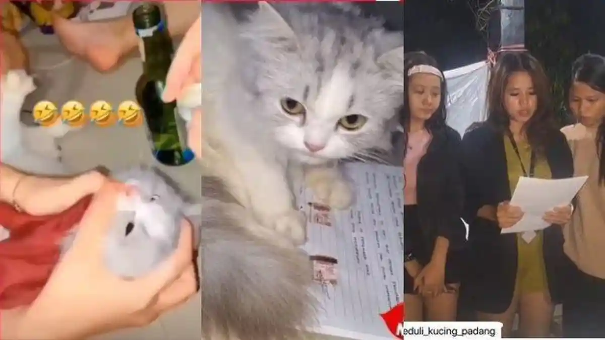 Inilah Wajah 3 Wanita Penyiksa Kucing Yang Diberi Minuman Keras dan Jarang Dikasih Makan