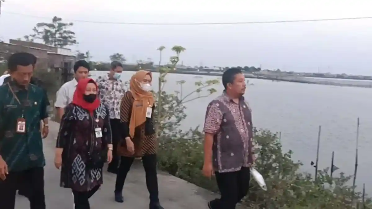 Atasi Permasalah Rob di Demak, Desain Tanggul Laut Membentang 15 Km Segera Dibikin