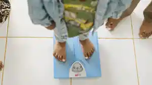stnuting-soligi-harita.jpg