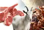 Ilustrasi-daging-kambing-34.jpg