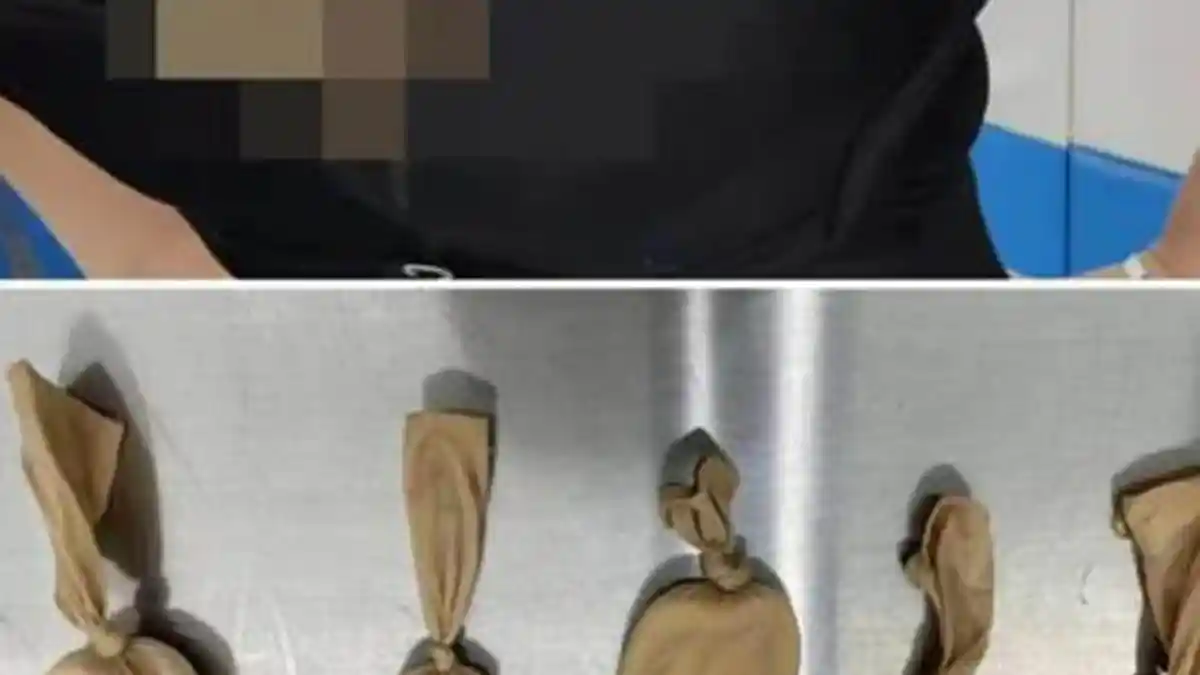 Wanita Ini Sungguh Nekat, Simpan 5 Ekor Ular Jagung Hidup di Dalam Bra, Diciduk Petugas Bea Cukai