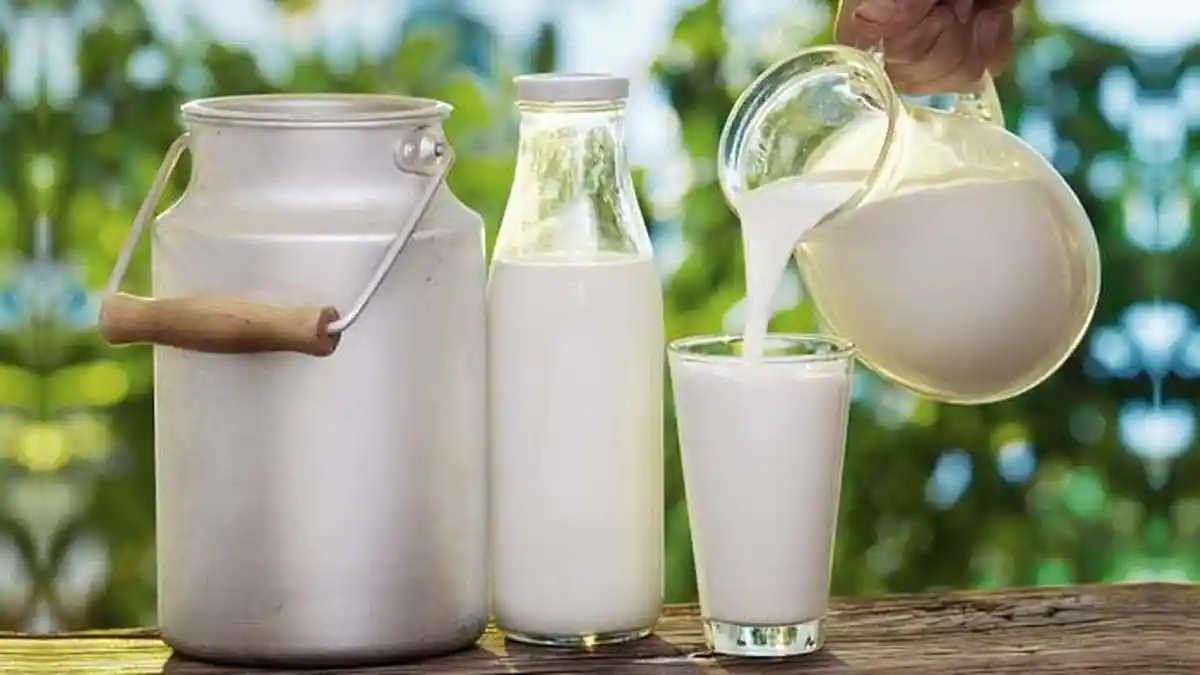 Kenapa Susu Segar Lebih Berkualitas daripada Susu Bubuk?