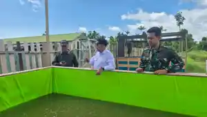 mbgnabismbaireasyreremm.jpg