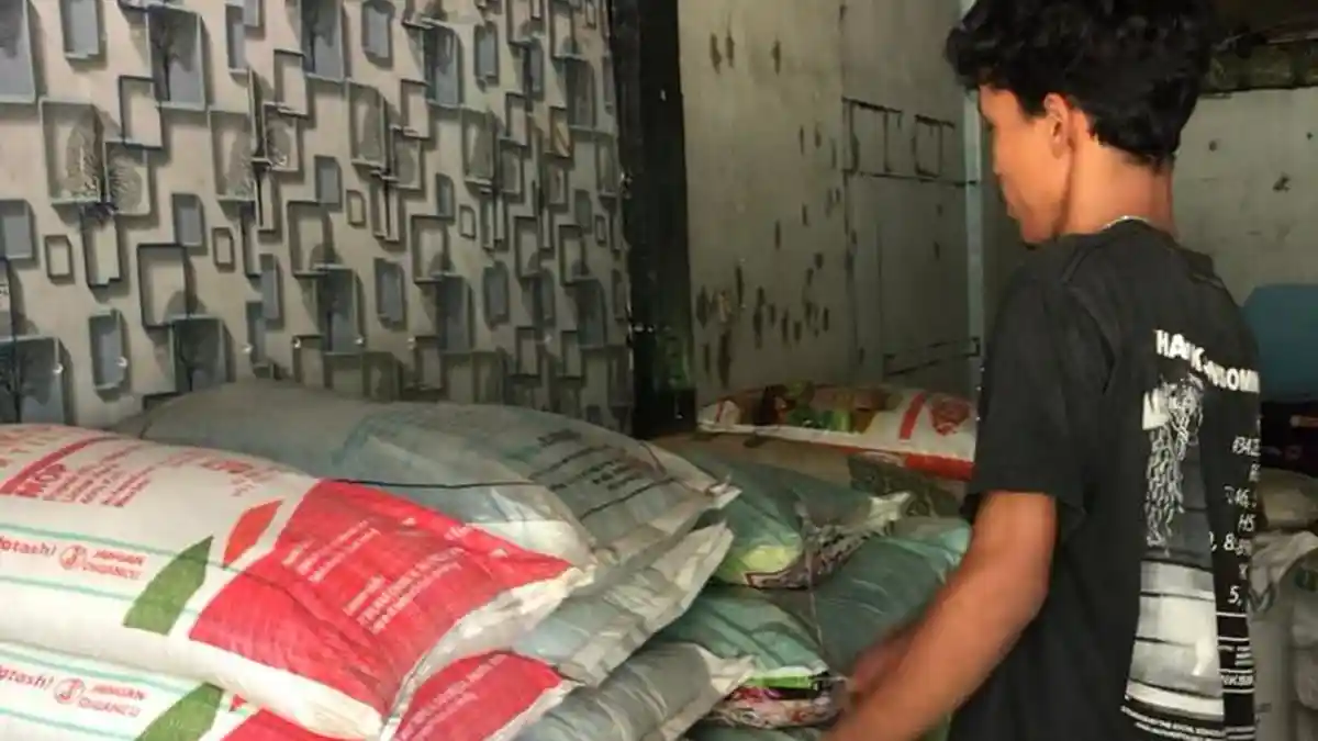 Harga Pupuk di Batang Hari Melonjak, Pedagang dan Petani Mulai Tertekan