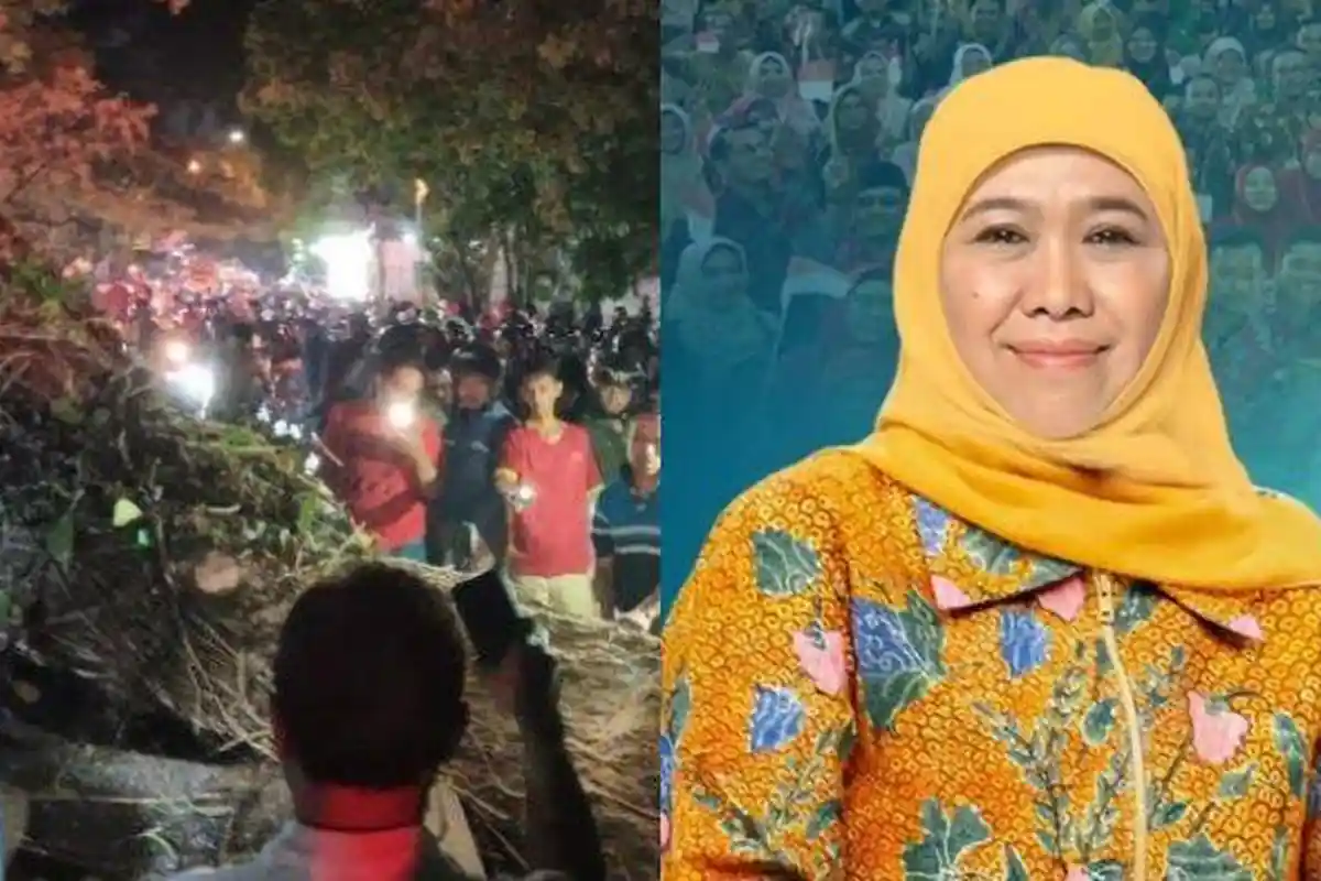 JATIM TERPOPULER: Pohon Tumbang di Malang Tewaskan 2 Warga - Khofifah Dominasi Pilgub Jatim 2024
