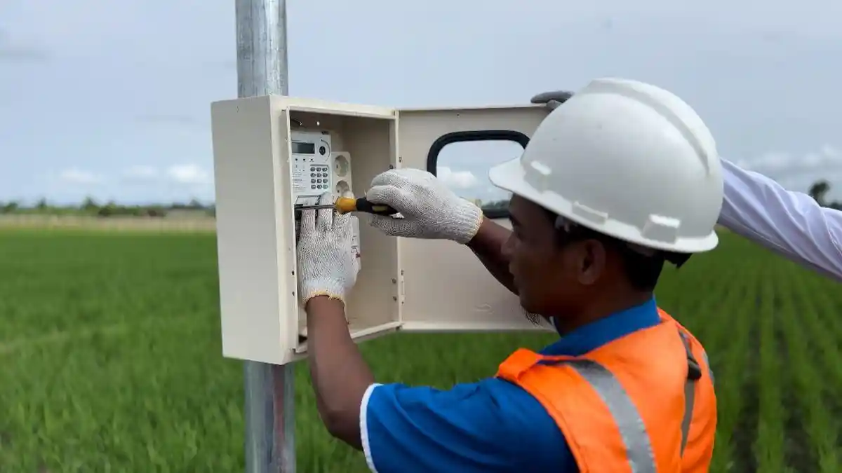 Panen Raya Sukses,Program Electrifying Agriculture PLN Mampu Tingkatkan Produktivitas Pertanian Padi