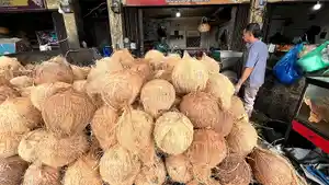 harga-kelapa-naik-di-aceh-tengah_.jpg